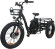 Электровелосипед трехколесный Etrike Rubicon Электровелосипед трехколесный Etrike Rubicon