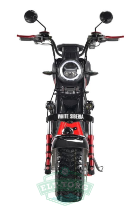 Электроскутер Citycoco WS Pro+ 2500W Электроскутер Citycoco WS Pro+ 2500W