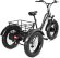 Электровелосипед трицикл ECO-BIKE GRIZZLY M5 20 700W 48V12AH Электровелосипед трицикл ECO-BIKE GRIZZLY M5 20 700W 48V12AH