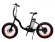 Электровелосипед El-Sport bike TDN-01 500W черный Электровелосипед El-Sport bike TDN-01 500W черный
