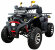 Квадроцикл Avantis Hunter 200 Premium NEW (БАЛАНС. ВАЛ) Квадроцикл Avantis Hunter 200 Premium NEW (БАЛАНС. ВАЛ)