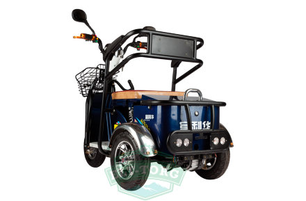 Трицикл GREEN CITY S1 V1 500W Трицикл GREEN CITY S1 V1 500W