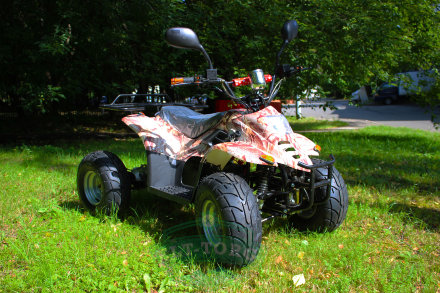 Электроквадроцикл MYTOY 750E дифференциал Электроквадроцикл MYTOY 750E дифференциал