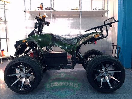 Электроквадроцикл MYTOY 2000B 1000 W Зеленый Электроквадроцикл MYTOY 2000B 1000 W Зеленый