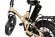 Электровелосипед E-motions FAT all mountain double 2 Электровелосипед E-motions FAT all mountain double 2