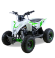 Электроквадроцикл Motax GEKKON 1300W