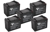Комплект тяговых гелевых аккумуляторов RuTrike 6-EVF-45 (60V45A/H C3) Комплект тяговых гелевых аккумуляторов RuTrike 6-EVF-45 (60V45A/H C3)