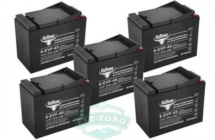 Комплект тяговых гелевых аккумуляторов RuTrike 6-EVF-45 (60V45A/H C3) Комплект тяговых гелевых аккумуляторов RuTrike 6-EVF-45 (60V45A/H C3)