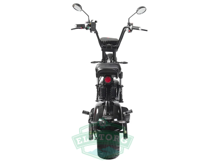Электроскутер Citycoco SkyBoard BR50-3000 PRO MAX Электроскутер Citycoco SkyBoard BR50-3000 PRO MAX