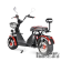 Электроскутер Citycoco WS Pro Light 2000W Электроскутер Citycoco WS Pro Light 2000W