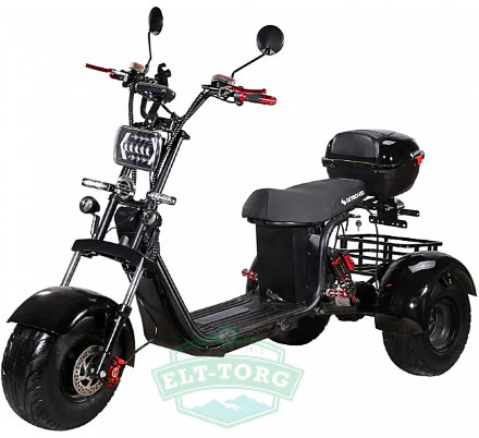 Электроскутер CityCoco SkyBoard Trike BR40-3000 