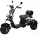 Электроскутер CityCoco SkyBoard Trike BR40-3000 