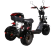 Электроскутер CityCoco SkyBoard Trike BR40-3000 
