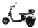 Электроскутер CityCoco SkyBoard Trike BR40-3000 