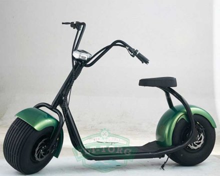 EL-Sport Classic Citycoco 1000W (60V/12Ah) зелёный EL-Sport Classic Citycoco 1000W (60V/12Ah) зелёный