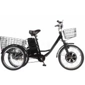 Электровелосипед E-Tricycle (GM Porter) 750Вт 2017 Электровелосипед E-Tricycle (GM Porter) 750Вт 2017