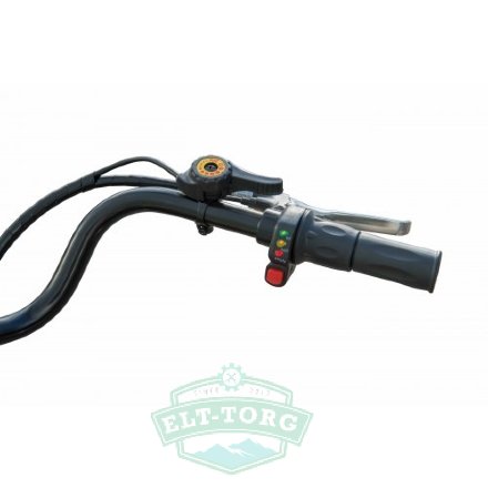 Электротрицикл Eko-Bike Dacha (Fazenda) 250 Велогибрид Электротрицикл Eko-Bike Dacha (Fazenda) 250 Велогибрид