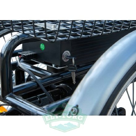 Электротрицикл Eko-Bike Dacha (Fazenda) 250 Велогибрид Электротрицикл Eko-Bike Dacha (Fazenda) 250 Велогибрид