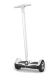 Сегвей SMART ZOOTER 700W Сегвей SMART ZOOTER 700W
