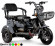 Электротрицикл Rutrike Бумеранг 1