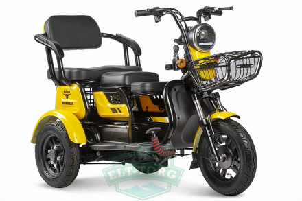 Электротрицикл Rutrike Бумеранг 1