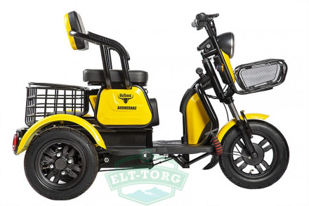 Электротрицикл Rutrike Бумеранг 1