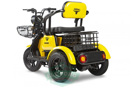 Электротрицикл Rutrike Бумеранг 1