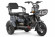 Электротрицикл Rutrike Бумеранг 1