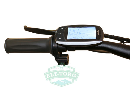 Электро фэтбайк Big cat dual 1000w Электро фэтбайк Big cat dual 1000w