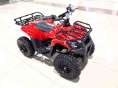 Электроквадроцикл MYTOY 800В 500 W Красный паук Электроквадроцикл MYTOY 800В 500 W Красный паук