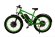 Elbike Phantom Twix зеленый Elbike Phantom Twix зеленый