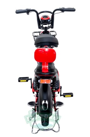 Elbike Dacha mini 20 красный сзади