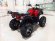 Электроквадроцикл MYTOY 2000D 1000 W Красный