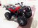 Электроквадроцикл MYTOY 2000D 1000 W Красный