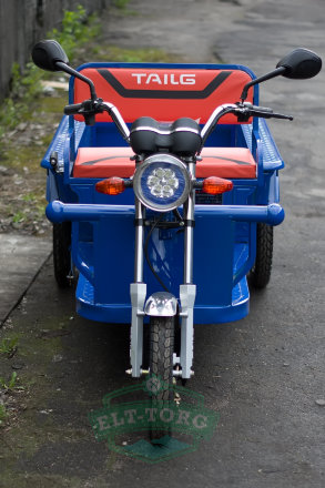 Электротрицикл TaiLG TL650DQZ-55Z Синий original Электротрицикл TaiLG TL650DQZ-55Z Синий original