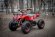 Электроквадроцикл MYTOY 500D 500 W Красный паук