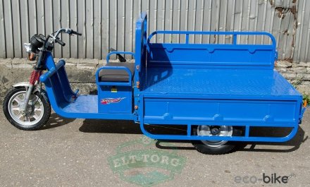 Электротрицикл TaiLG Trike-14 Синий original Электротрицикл TaiLG Trike-14 Синий original