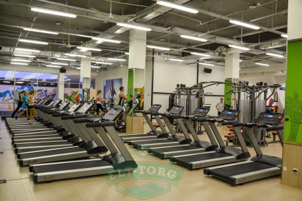 Беговая дорожка Aerofit 8700TM Беговая дорожка Aerofit 8700TM