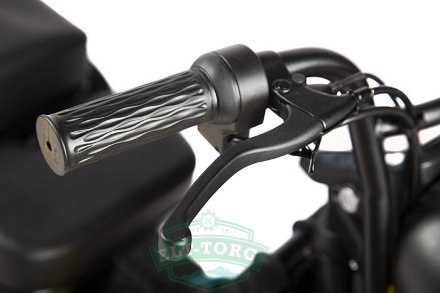 Электротрицикл Rutrike Бумеранг