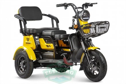 Электротрицикл Rutrike Бумеранг