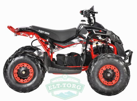 Электроквадроцикл WS-SNEG R 1500W Электроквадроцикл WS-SNEG R 1500W