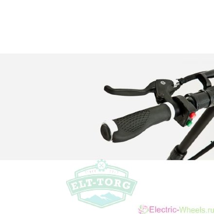 Детский электросамокат EL-Sport Mini GoGo 500W (48V/18Ah) Детский электросамокат EL-Sport Mini GoGo 500W (48V/18Ah)