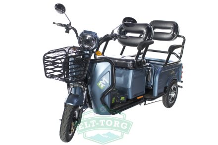 Электротрицикл E-motions Trike Transformer