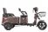 Трицикл Rutrike Вагон